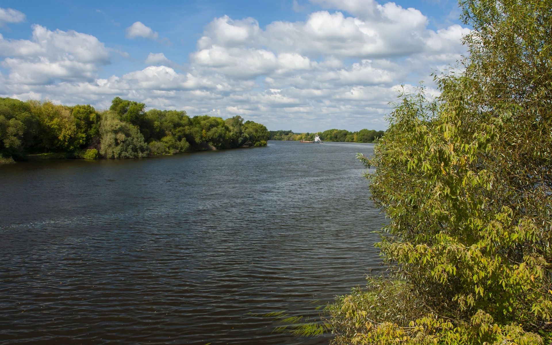 Адмирал (10)