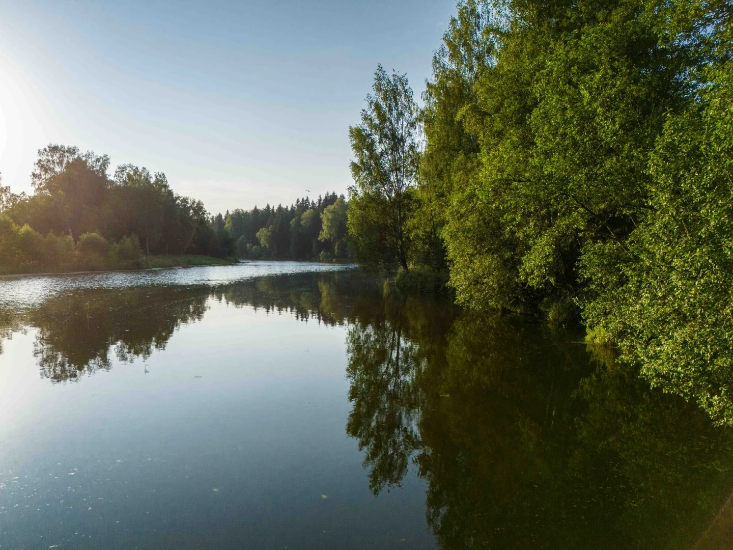 eco-lake (10)