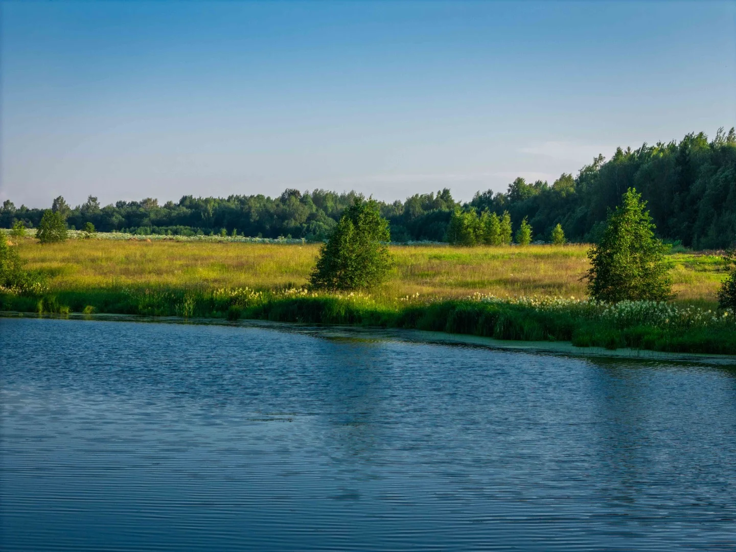 eco-lake (11)