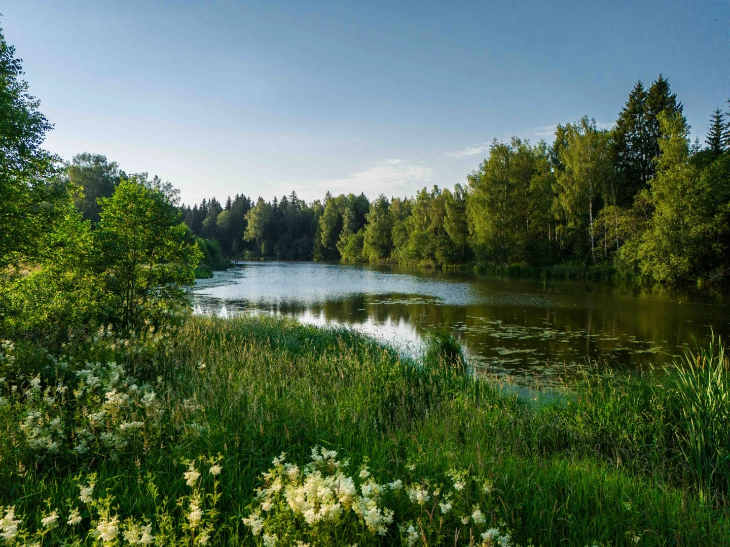 eco-lake (9)