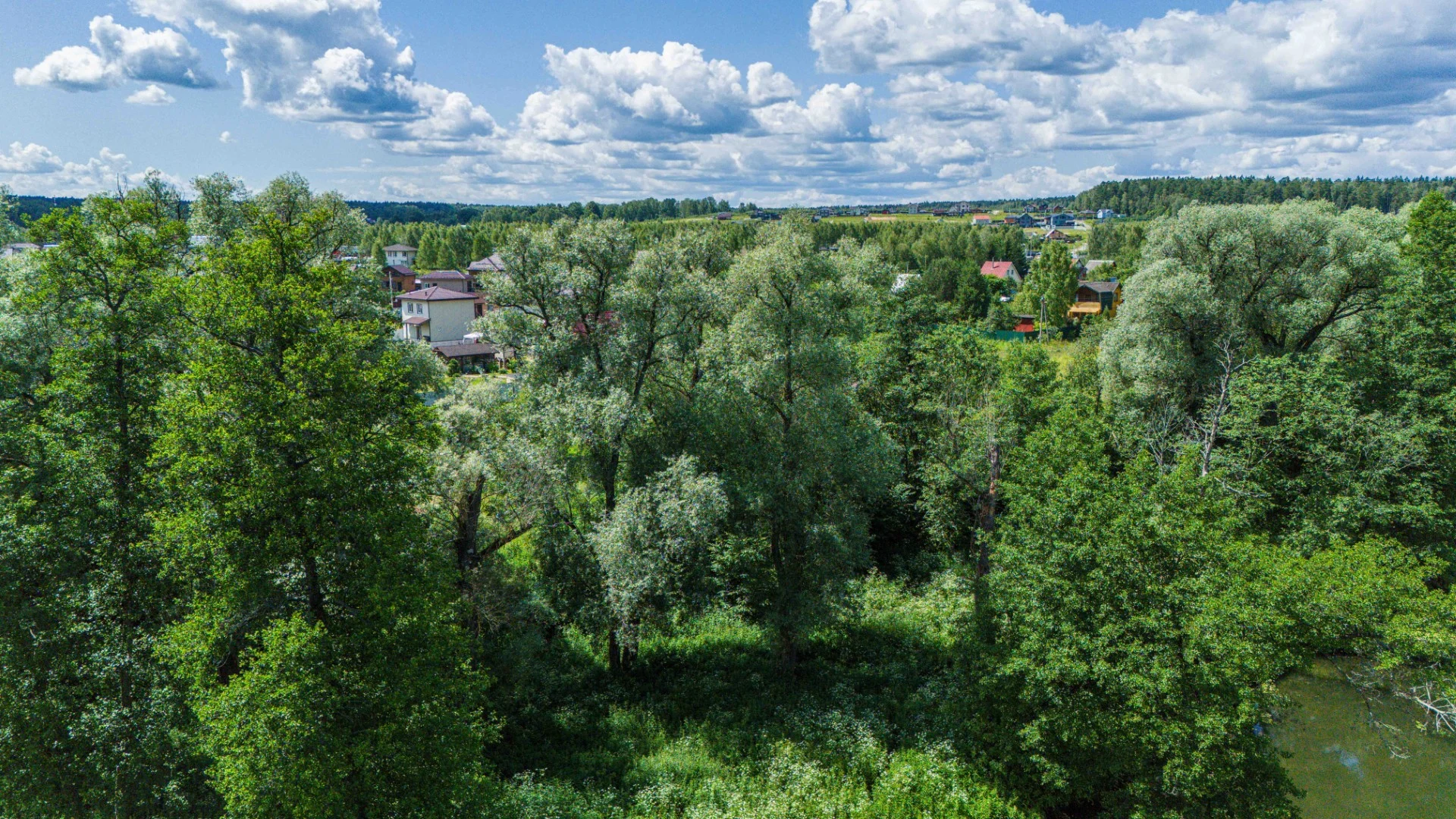 живописный берег_ поселок (26)